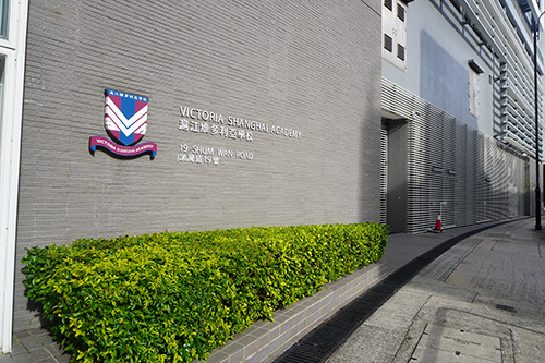 爬藤首选！10所香港热门国际学校开放明年学位申请！精英家长收藏！