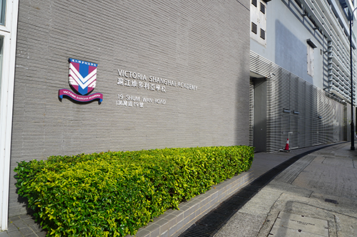 香港国际学校|香港沪江维多利亚学校|VSA|香港升学|IB一条龙