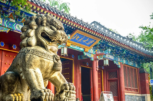 香港|香港DSE|香港插班|DSE|香港DSE报考人数|港八大|港前三|内地港宝|香港新移民|新来港家庭|香港Band1中学|香港小学|香港中学|香港插班申请|香港升中|香港春季插班|香港秋季插班