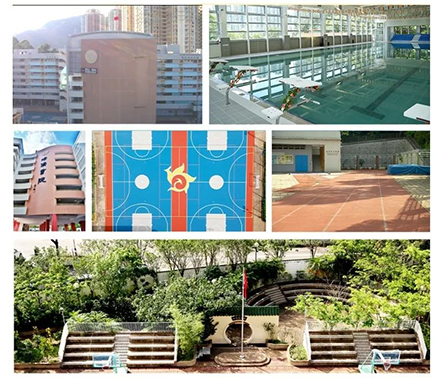 香港|香港学校|香港中学|香港培侨书院|培侨书院|香港一条龙学校|香港band1中学|香港小一|香港小一申请|香港幼升小|香港插班|香港读书|香港升学|香港拔萃教育|香港本土教育机构